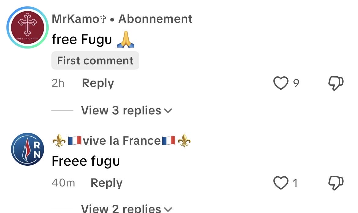 KC Alrhea 🇵🇸💙🏳️‍🌈 || Dublin era 🇮🇪 tweet media