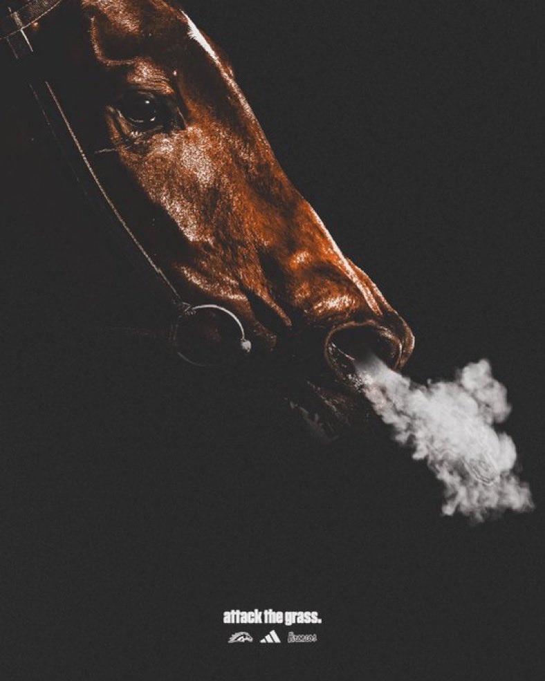 thanks for the love <a href="/WMU_Football/">Western Michigan Football</a> 💛🤍 <a href="/GreerMartini48/">Greer Martini</a> <a href="/Coach_OLeary/">Chris O'Leary</a> <a href="/jeffries_jacob/">Coach Jeffries</a>