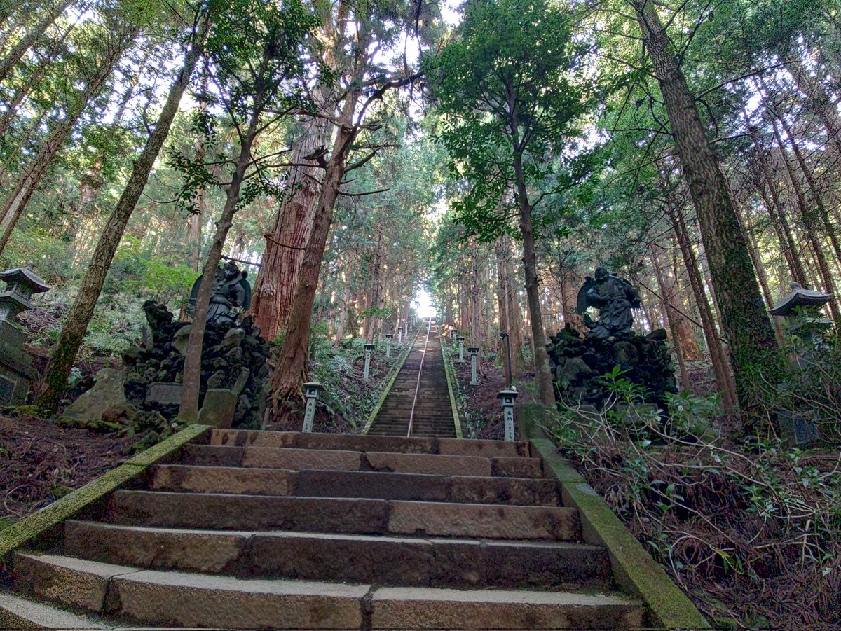 カナガワZX9／JJ1ETP (@ZX9_JJ1ETP) / Posts / X