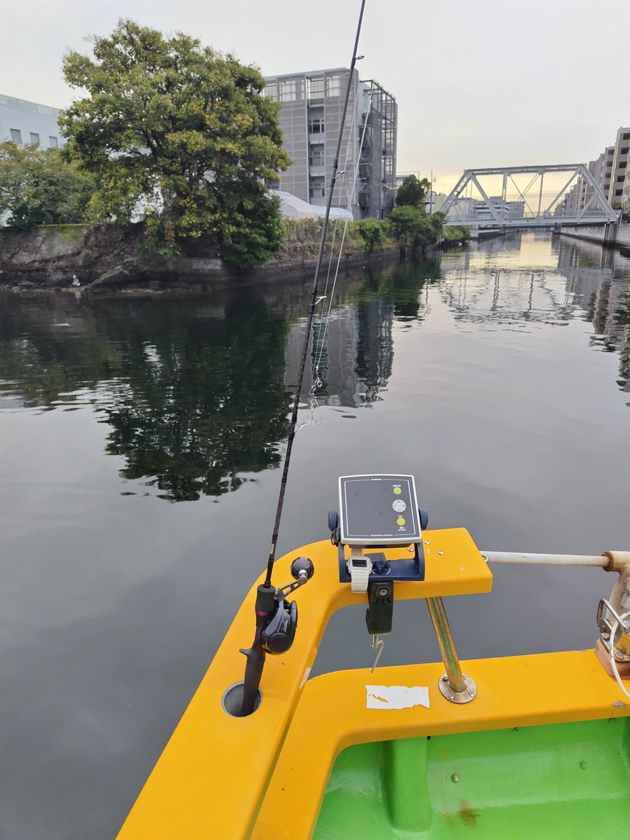 サーモン (@Salmonpink36) / Posts / X