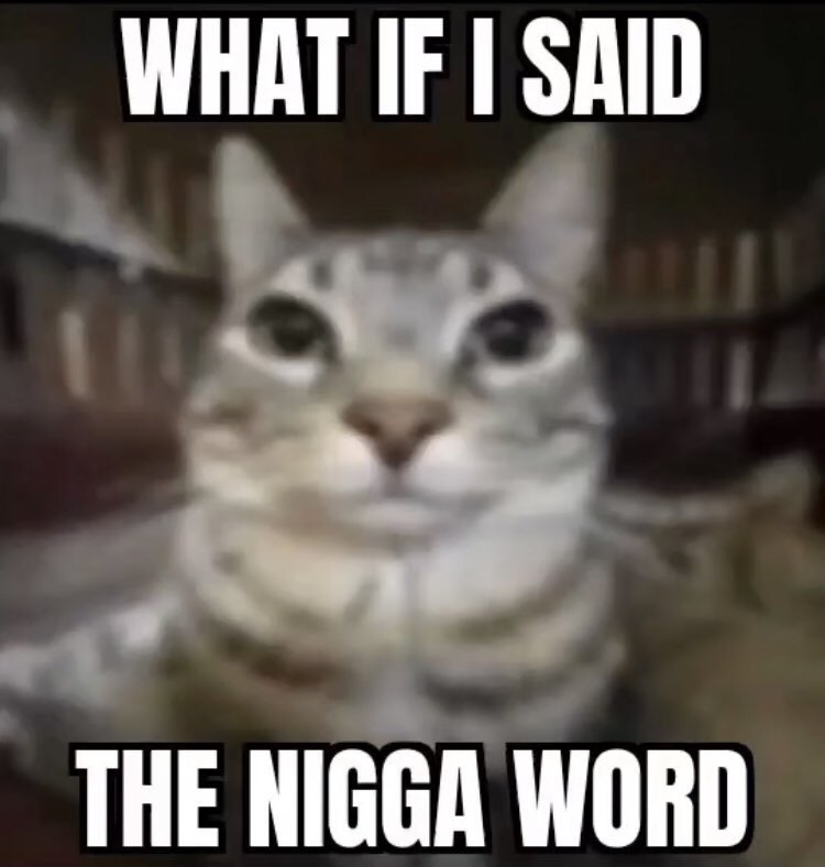 Albanischer Fettsack tweet media