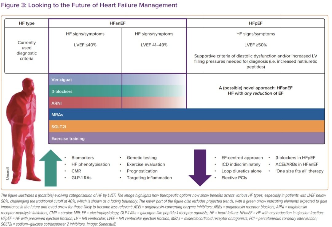 javier20ch's tweet photo. Tratamiento de la Insuficiencia Cardíaca de FEVI reducida en 2025. 🔎🫀🤔
✅️Los recientes avances en la terapia medica han mejorado significativamente el pronóstico de los pacientes con IC FEVI-R.
✅️Los 4 pilares (1️⃣B-bloqeadores, 2️⃣ARNi ó IECA/ARA2, 3️⃣iSGLT2, 4️⃣ARM) constituyen la base y el punto de partida para el tratamiento.
✅️Nuevos medicamentos, nuevos dispositivos y mejoras en el uso de la terapia diurética son avances fundamentales y recientes (5️⃣Veraciguat, 6️⃣Rehabilitación física, 7️⃣Nuevos fármacos, 8️⃣DAI/TRC).

📚🆓️⤵️
https://t.co/zGnkSZ5Y7l
https://t.co/x0ItOFxvIk