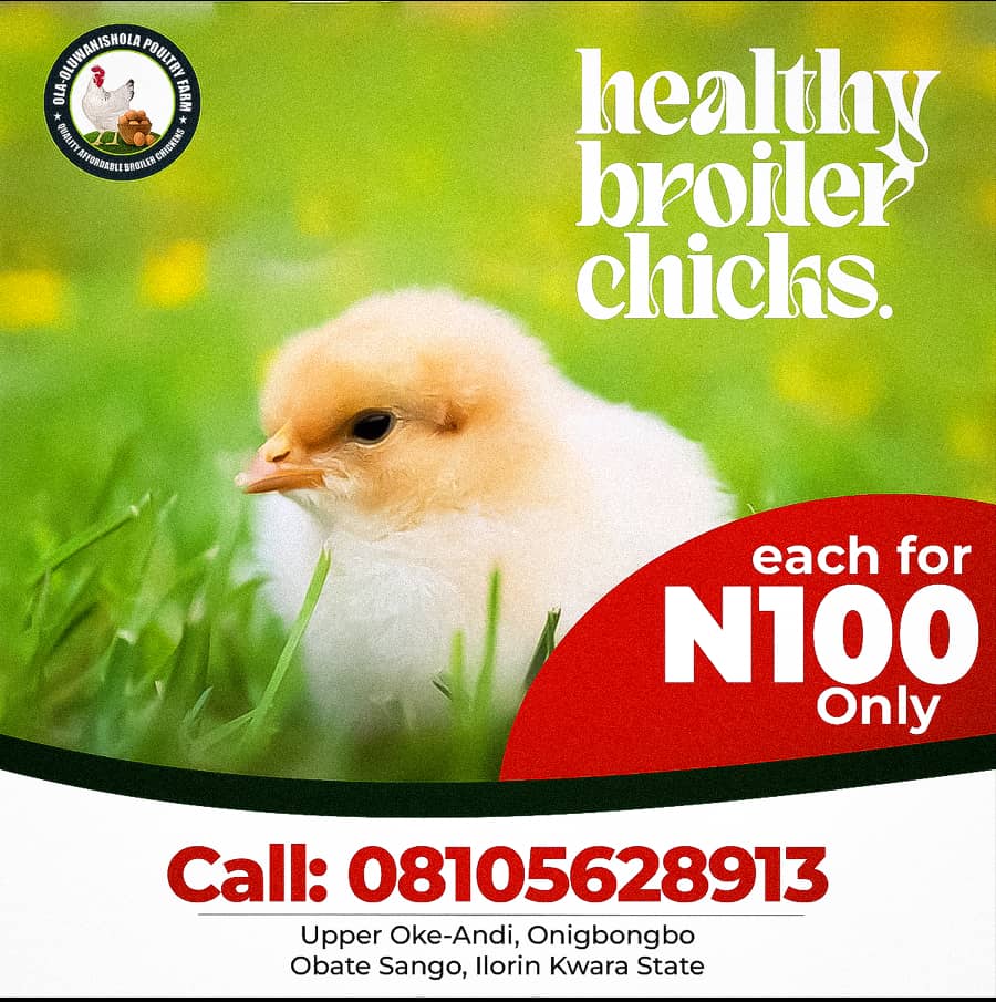 geekdezign's tweet image. Poultry farm Designs