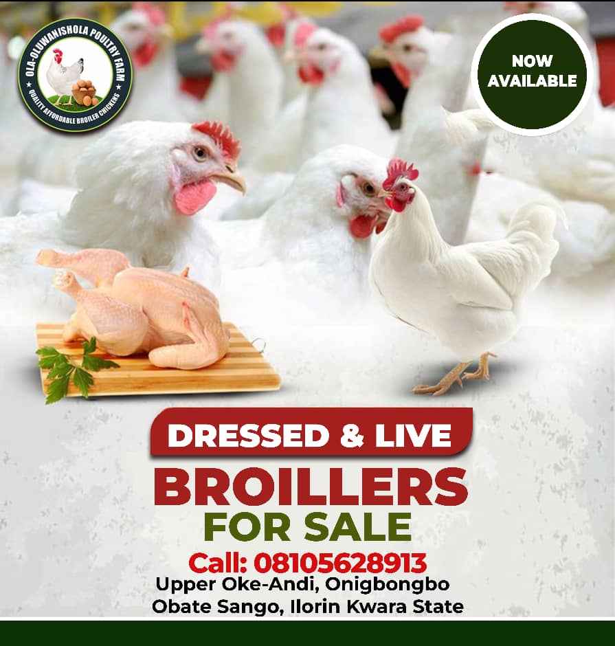 geekdezign's tweet image. Poultry farm Designs