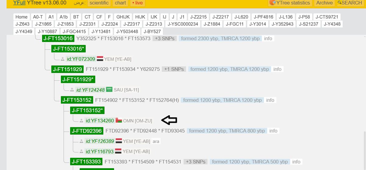 مشروع قبائل عله مذحج الجيني tweet media