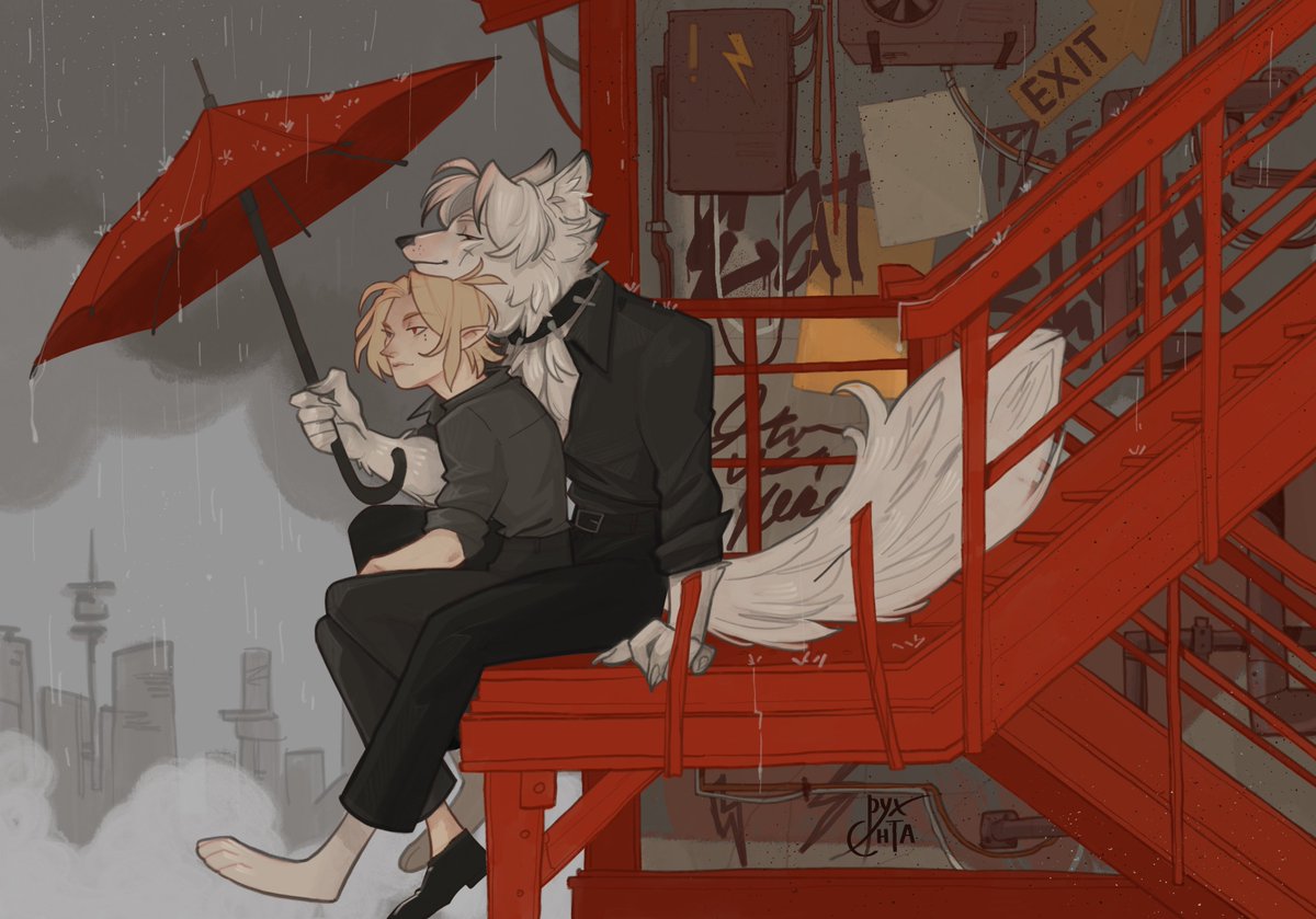 пихта tweet media