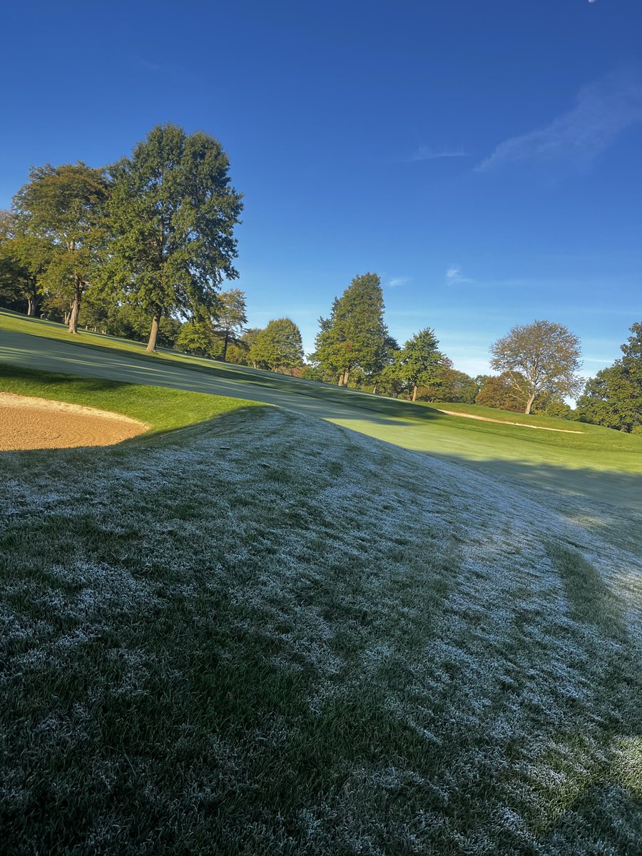 Mahaley Nemtuda tweet media