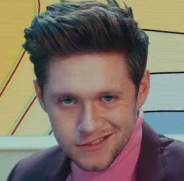 annetlpz28's tweet photo. Niall nos actualizó el meme JAJAJAJAJA https://t.co/9q8MpNuURV