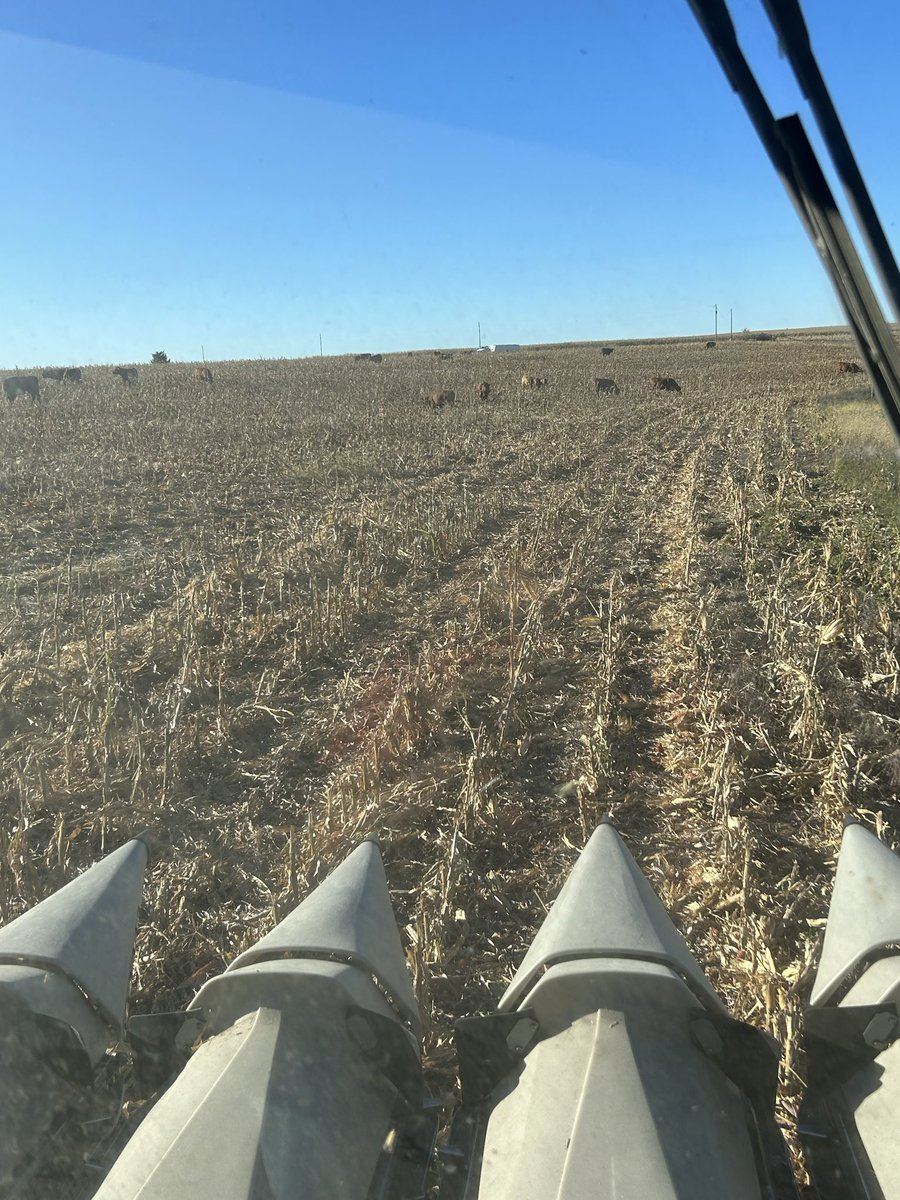 riley_sides's tweet image. BTO’s can’t comprehend this kind of efficiency #doitall