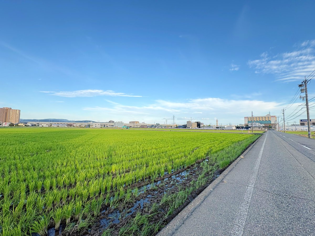 おはようございます☀️

今日も朝番なので少し早起きして
散歩からスタート🚶‍♂️

本日もご安全に🫡