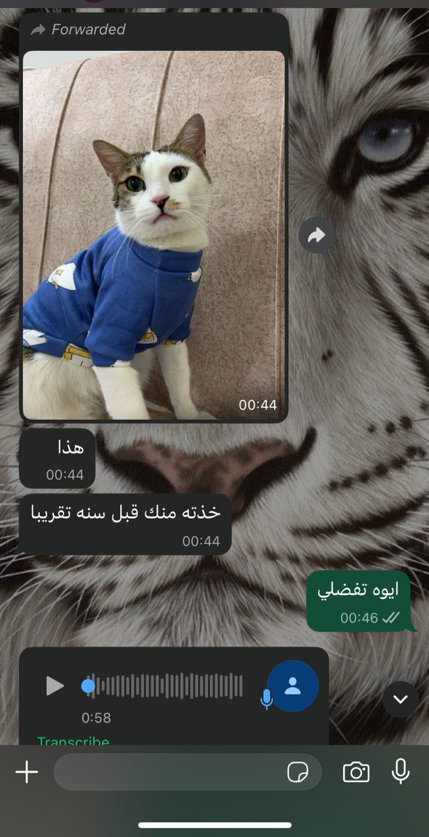 ✿✿ tweet media