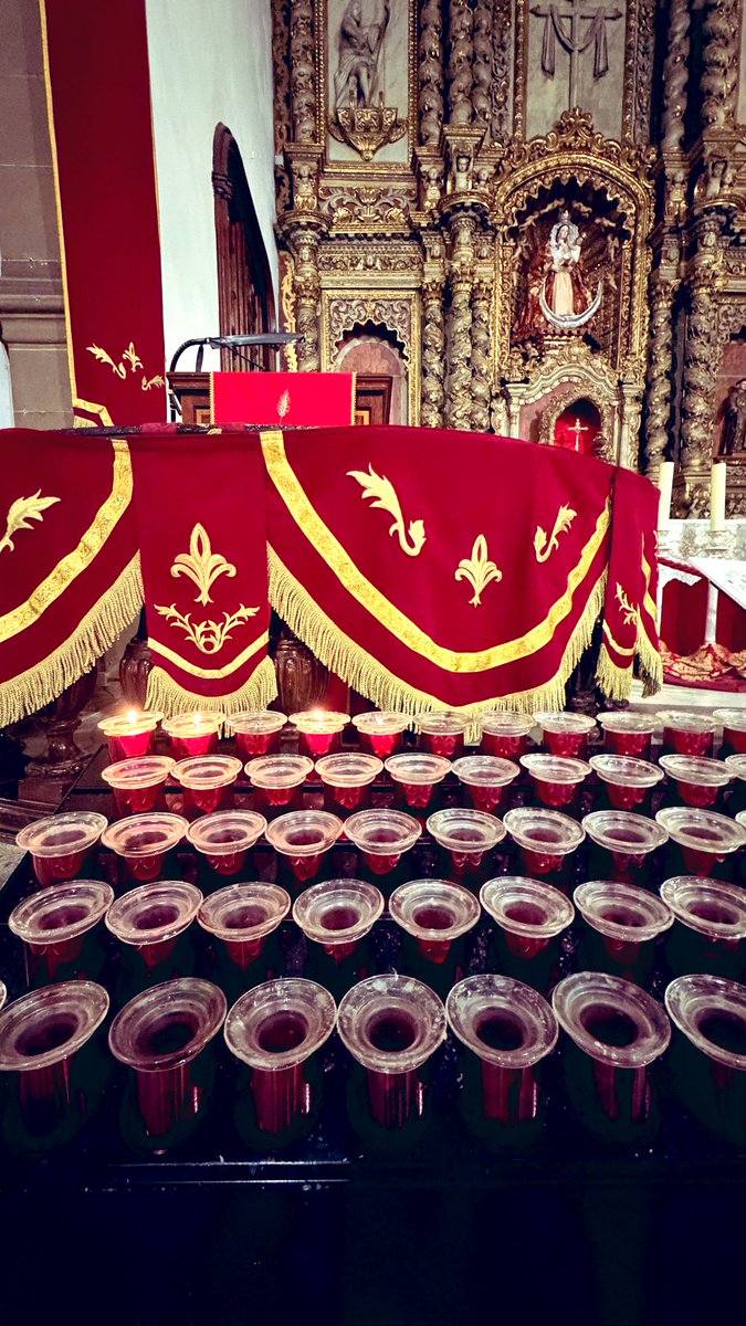 Daisy 🎀 tweet media