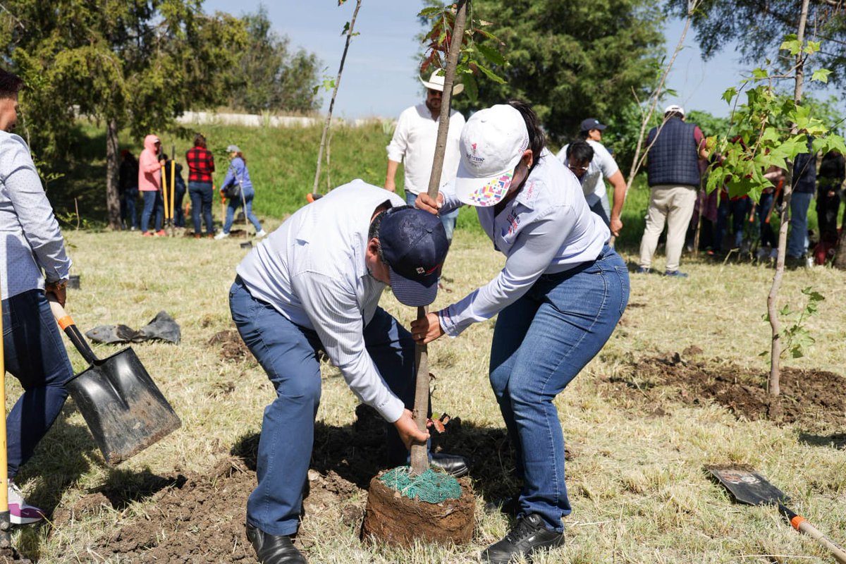 victorcabreramx's tweet image. “Cada árbol que sembramos representa un paso hacia un futuro más limpio y saludable”:
— Lupita Cuautle, presidenta municipal.
#CompromisoAmbiental #LiderazgoVerde
@SnAndresOficial   @LupitaCuautleT  @VCNNoticiasmx