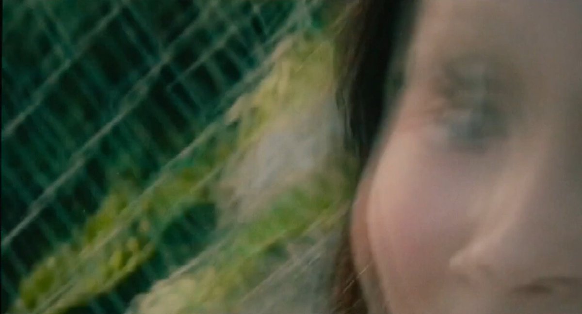 cinesthetic. tweet media