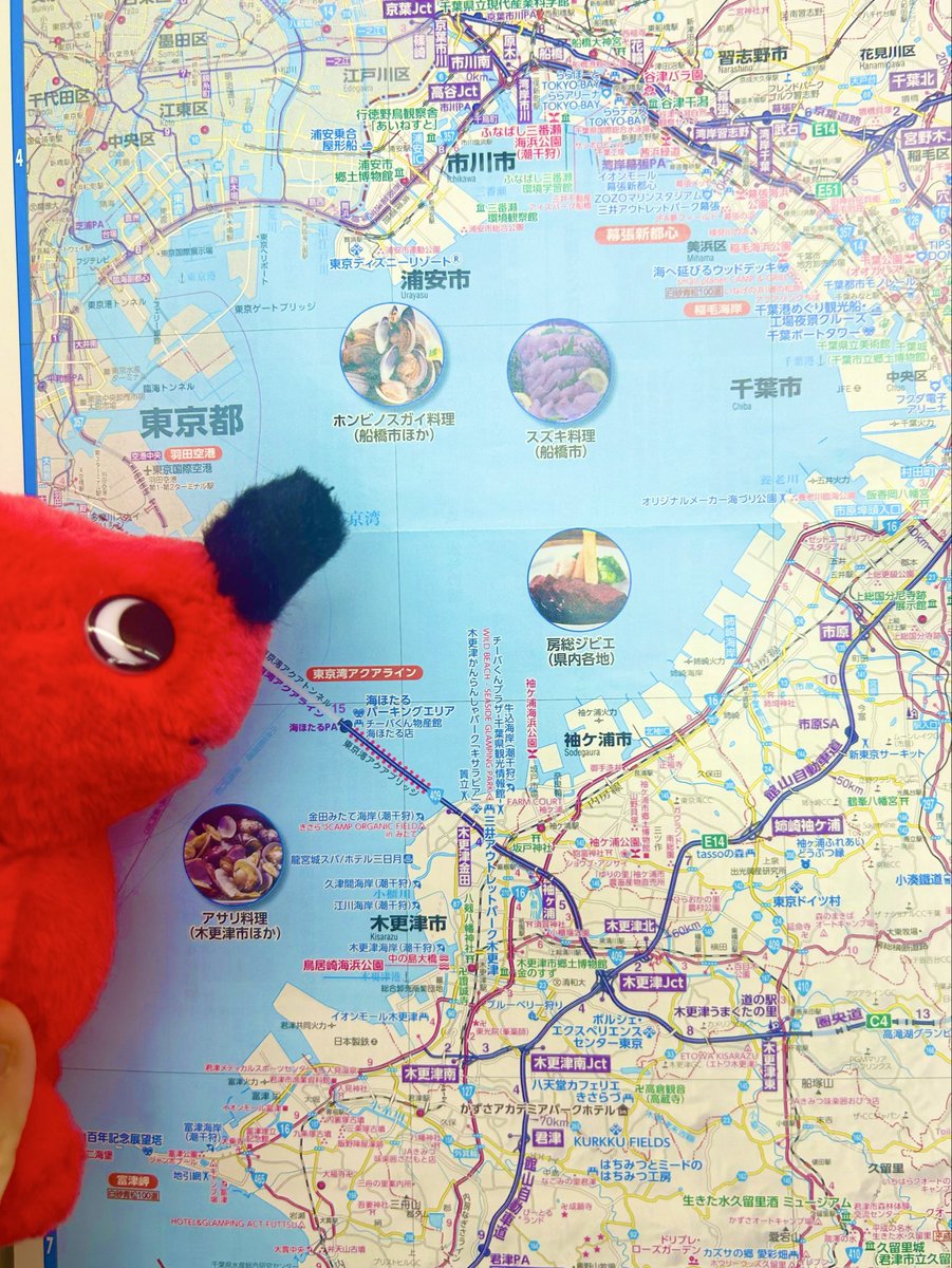 さてさて、明日10/19はいよいよ令和7年度県芸君津公演。

君津はチーバくんでいうと、お腹の

「ﾊｧｱｱｱｱｱｱｱｱ~~~~~~今日ちょっと食べすぎたかなお腹いっぱい！」

の時になでなでするら辺です
(  ˙༥˙  )