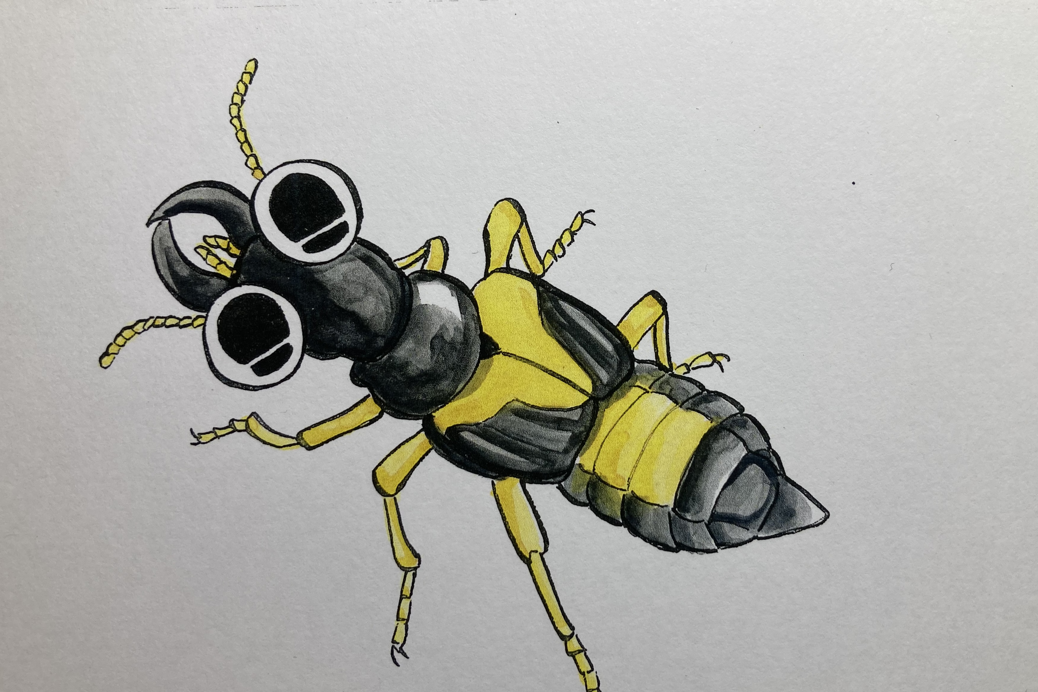 Yoshihiro Senda (@_x_hibagon_x_) / X