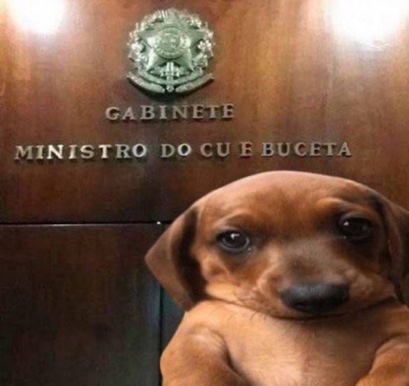 acabei de resolver pepinos