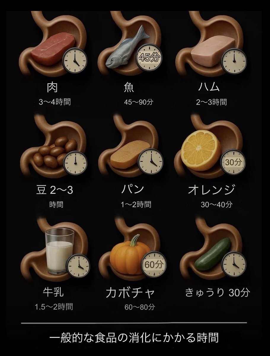 ╍ ╍ ╍ ╍ ╍ ╍ ╍ ╍ ╍ ╍ ╍ ╍ ╍ ╍ ╍ ╍ ╍ ╍
          ( 'ч' )ŧ‹”ŧ‹”   寝る寸前に
   食べてはいけない理由がこれ👇
╍ ╍ ╍ ╍ ╍ ╍ ╍ ╍ ╍ ╍ ╍ ╍ ╍ ╍ ╍ ╍ ╍ ╍
一部の食べ物はすぐにエネルギーを供給する一方で、他のものはあなたの体を長時間働かせます。