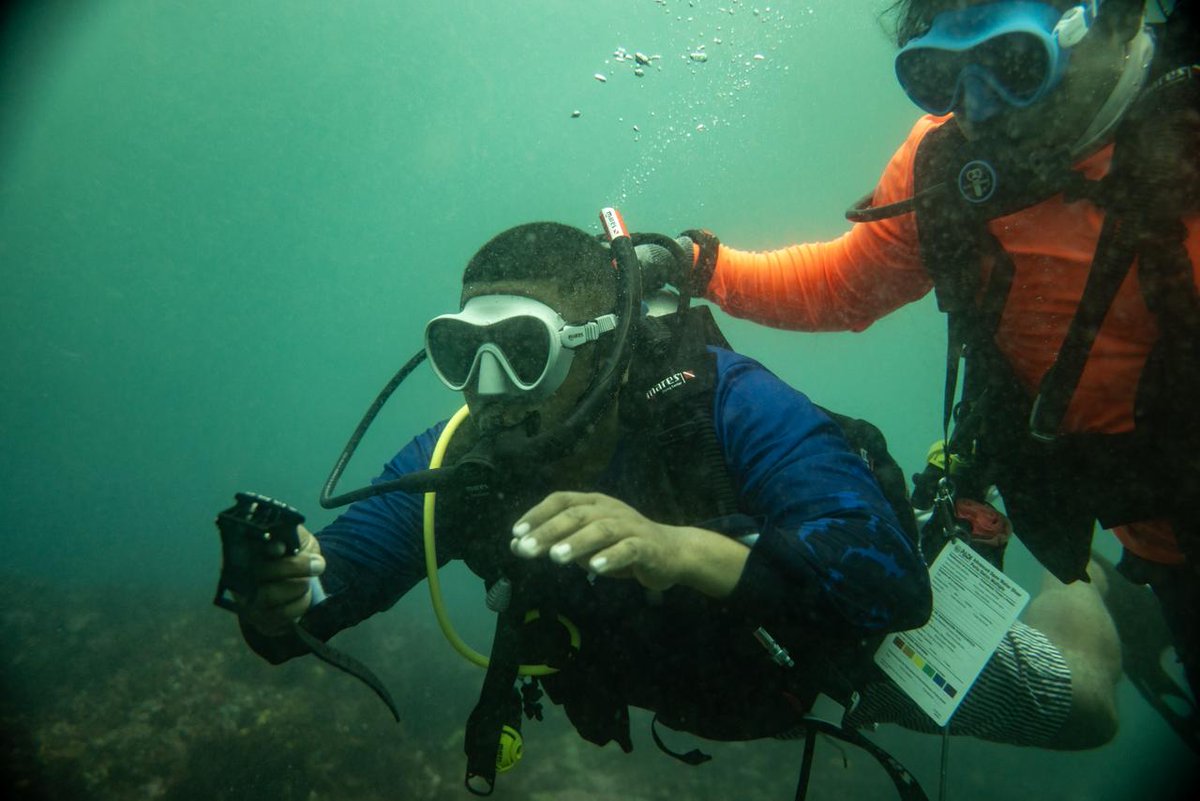 #WanKabuKa🌊 En Tela, Atlántida, se formaron los primeros buzos profesionales de La Moskitia hondureña👩‍🔬👨‍🔬
Fortalecerán la conservación y el monitoreo marino en los Cayos, aportando a la futura declaratoria de un área OMEC🐠💙
 #LaMoskitia #ConservaciónMarina #BlueActionFund