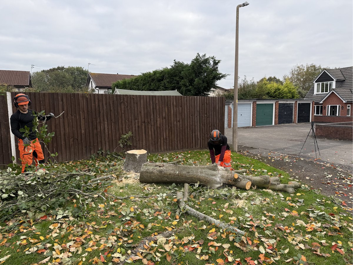 LumbersNW's tweet photo. 🌳 Before &amp; After in Greasby, Wirral! 🌳
Another successful job completed by the team at Lumbers.
Our team safely dismantled assorted problem trees whose root systems were causing significant damage to the client’s driveway. https://t.co/zNqY5XB3Ik