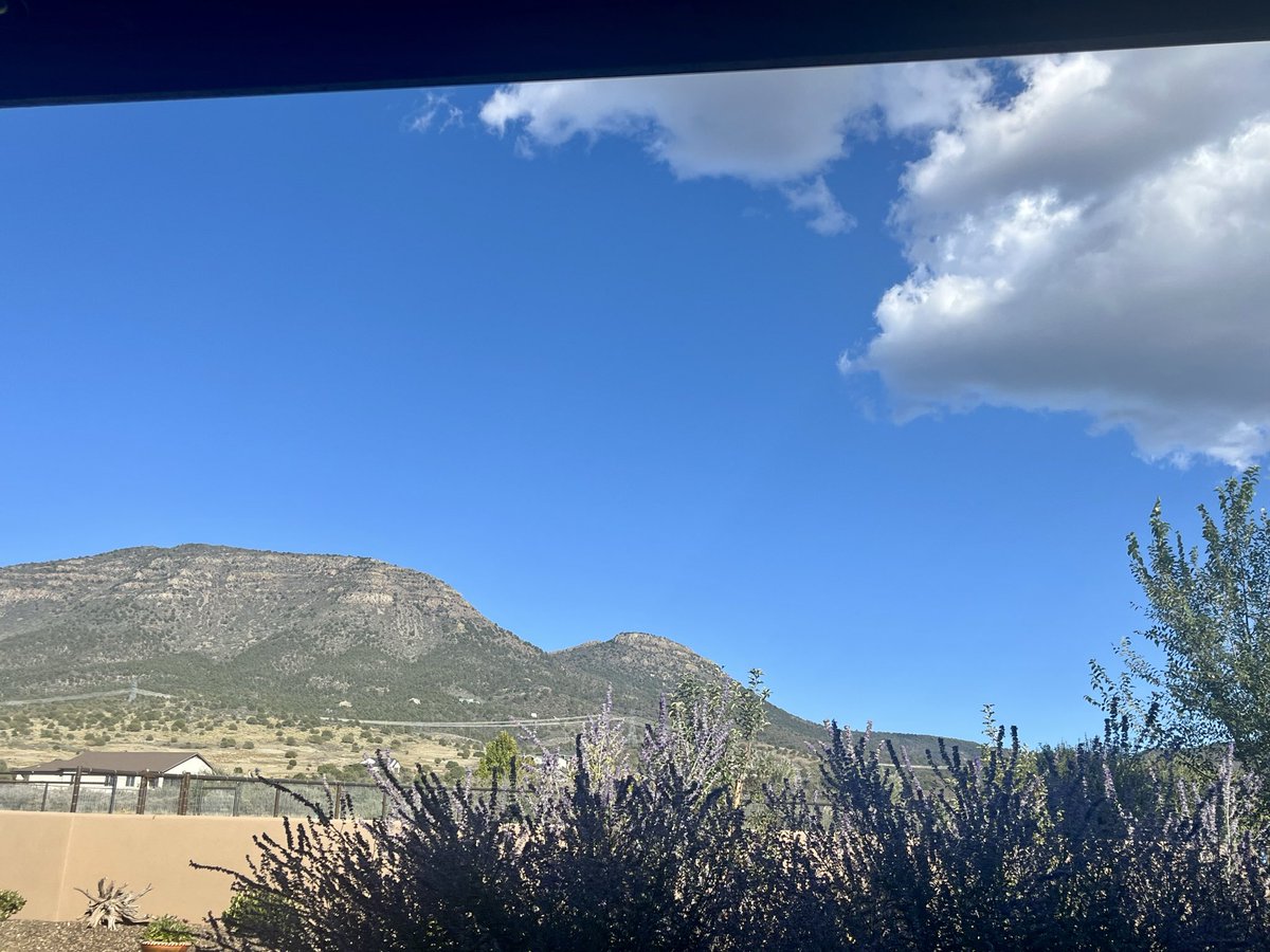 DominiqueDevos3's tweet photo. @naomirwolf @mtgreenee @leemzeldin @EPA @HHSGov @POTUS Arizona, no spraying since shut down https://t.co/L4UklN7FJe