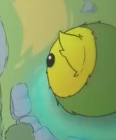 Which one of you gave Dango turmeric 😐