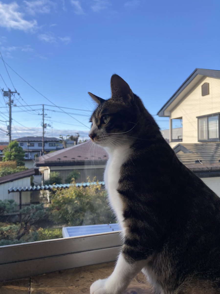 catrunamiku's tweet photo. 美人すぎる。。。 https://t.co/SLrUxKLa7n