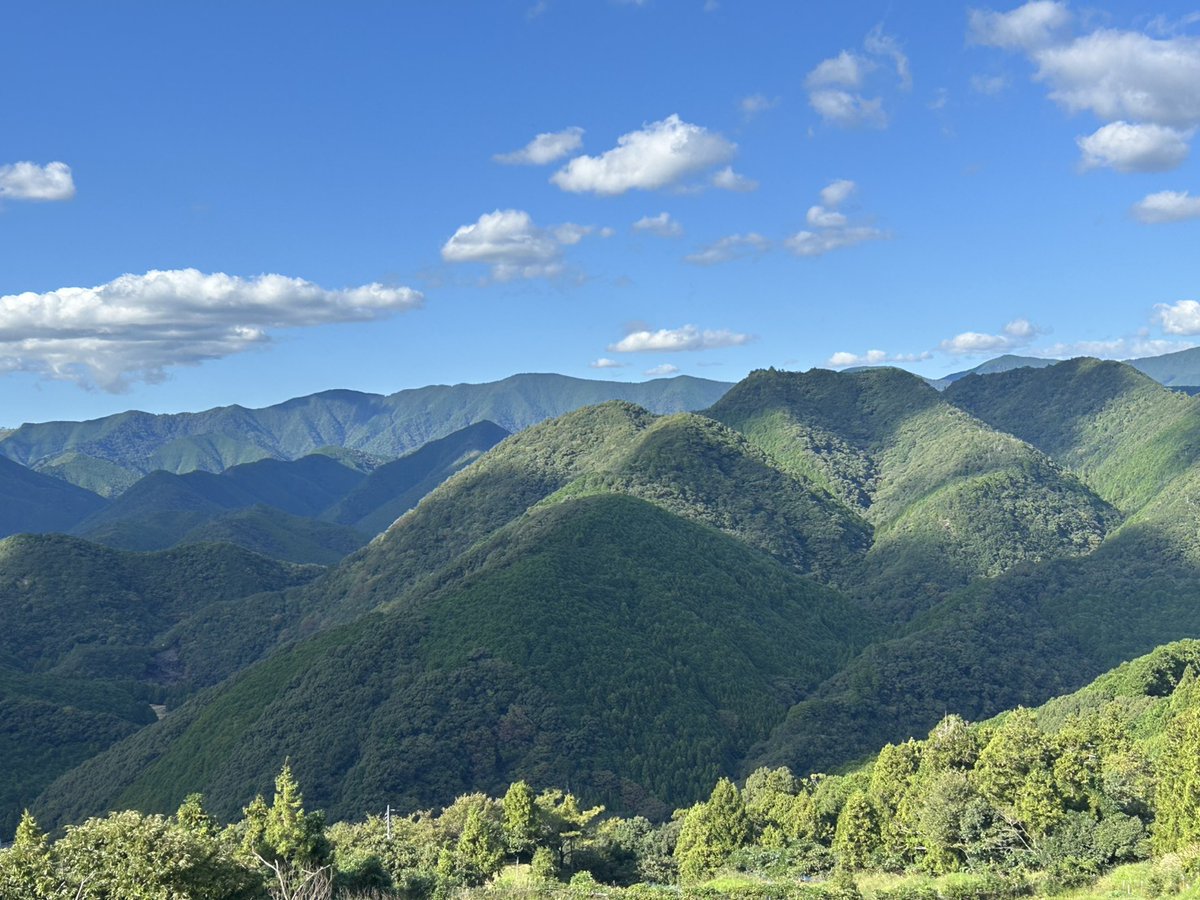 おはようございます☀
妻は熊野古道を歩いたようです。思ったより大変だったとか。

今日は、オオタニさんと日ハムを応援しよう👍

良い一日を👍
馬券を買われる方は的中を🎯