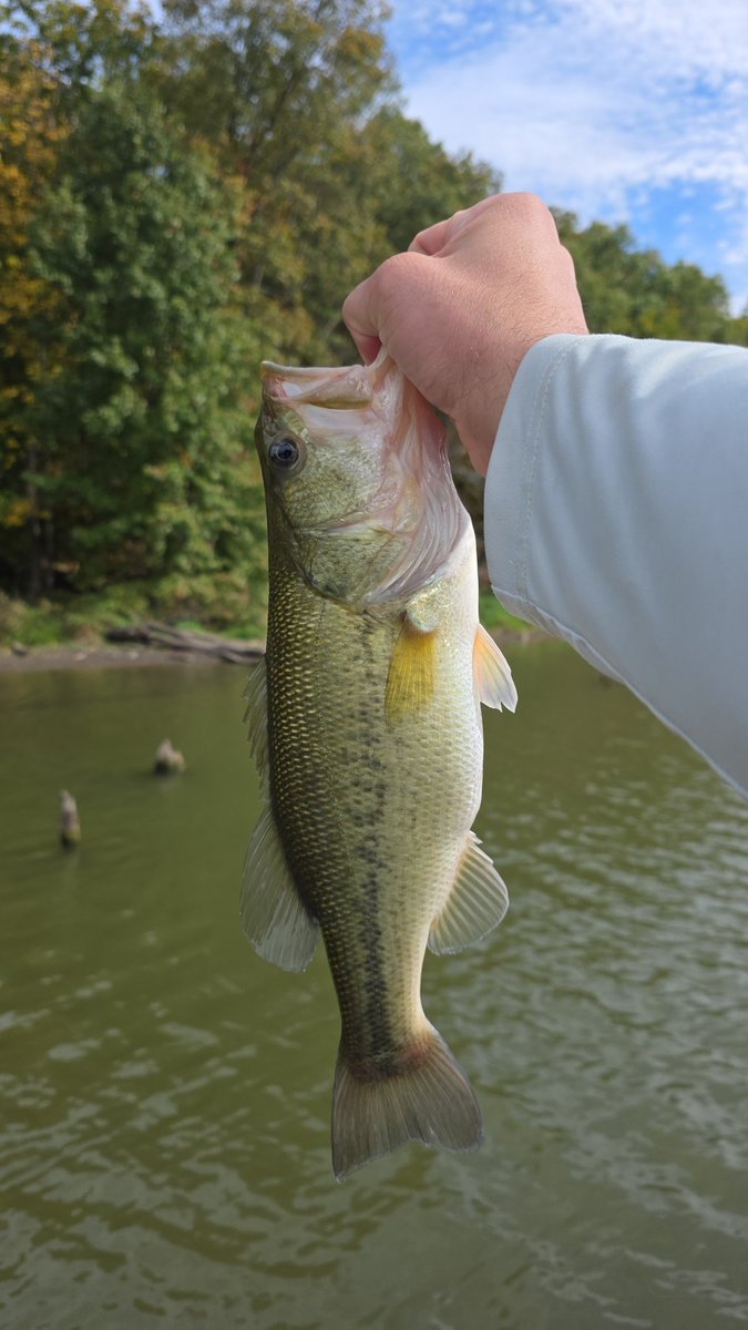 Beautiful day on the water today!
#nature #NatureLovers #outdoors #outdoorsman #fishing #bassfishing