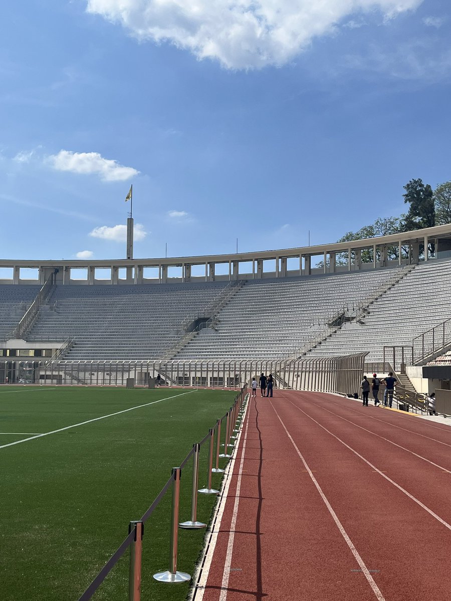 Daniel Vilhena tweet media