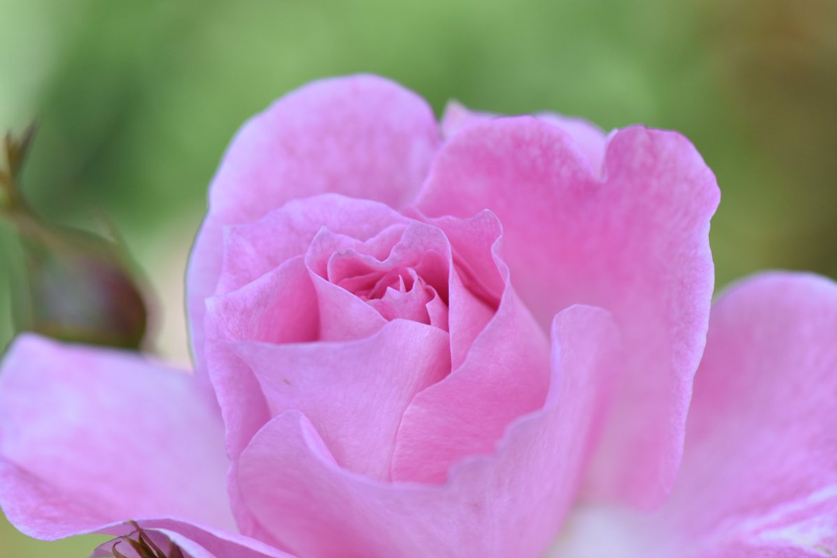 かじやん (@h_kajino) / Posts / X