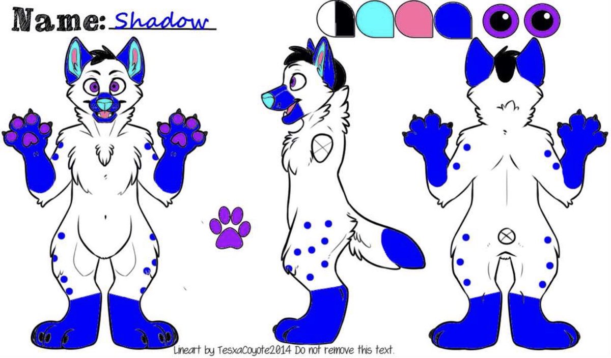 Shadow Terrior tweet media