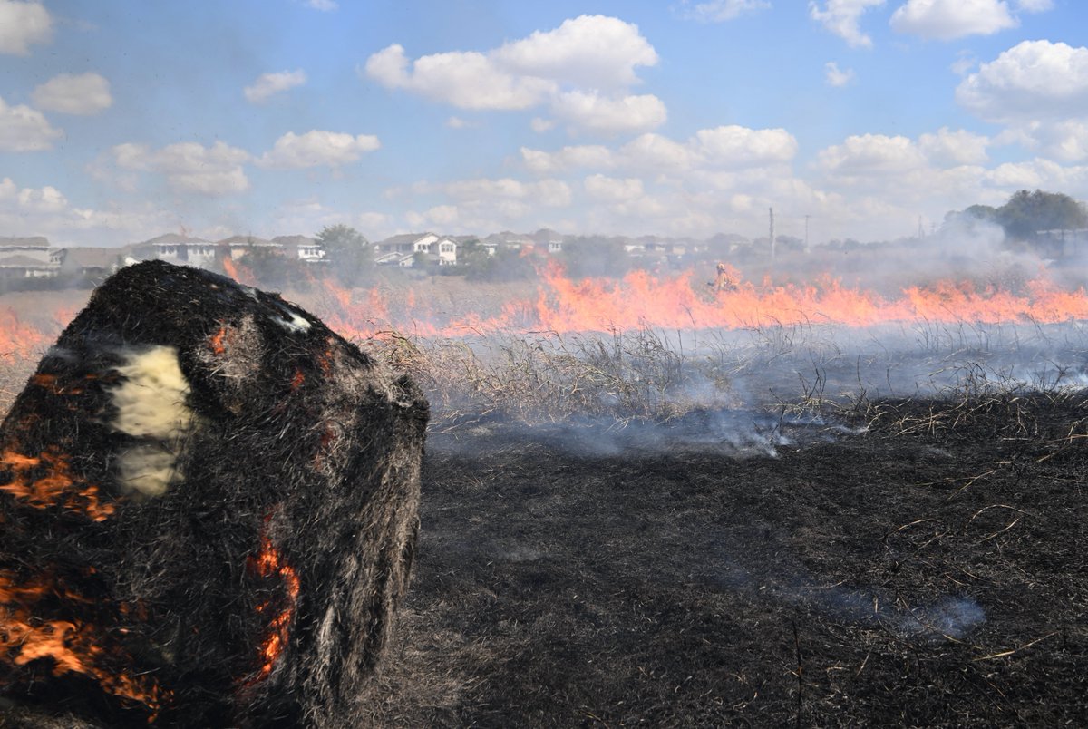 36 Acre fire on DG Collins is in mop up. Thanks to <a href="/austinfiredept/">Austin Fire Dept</a> <a href="/TDEM/">Texas Division of Emergency Management</a> <a href="/Austin_Police/">Austin Police Department</a> <a href="/TXForestService/">Texas A&M Forest Service</a> <a href="/TravisCoSheriff/">Travis County Sheriff's Office</a>  for the assistance in brining this under control. Conditions are very dry - please use caution - any small spark can cause a significant fire right now.