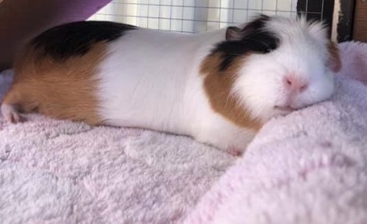 I Feel So Alone On A Friday Night...