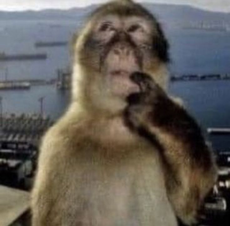 na minha cabeça eu sou assim