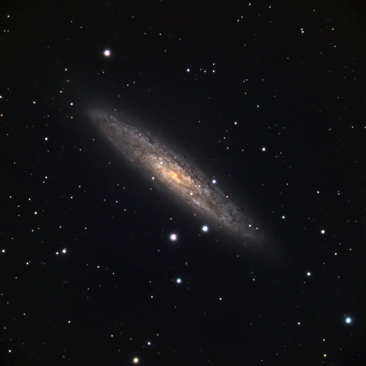 曇る直前でシーイングが良かった。

NGC253
2025-10-17 21:49:50～ 60sec x30
C11 x0.7 + ASI2400MC + AM-5