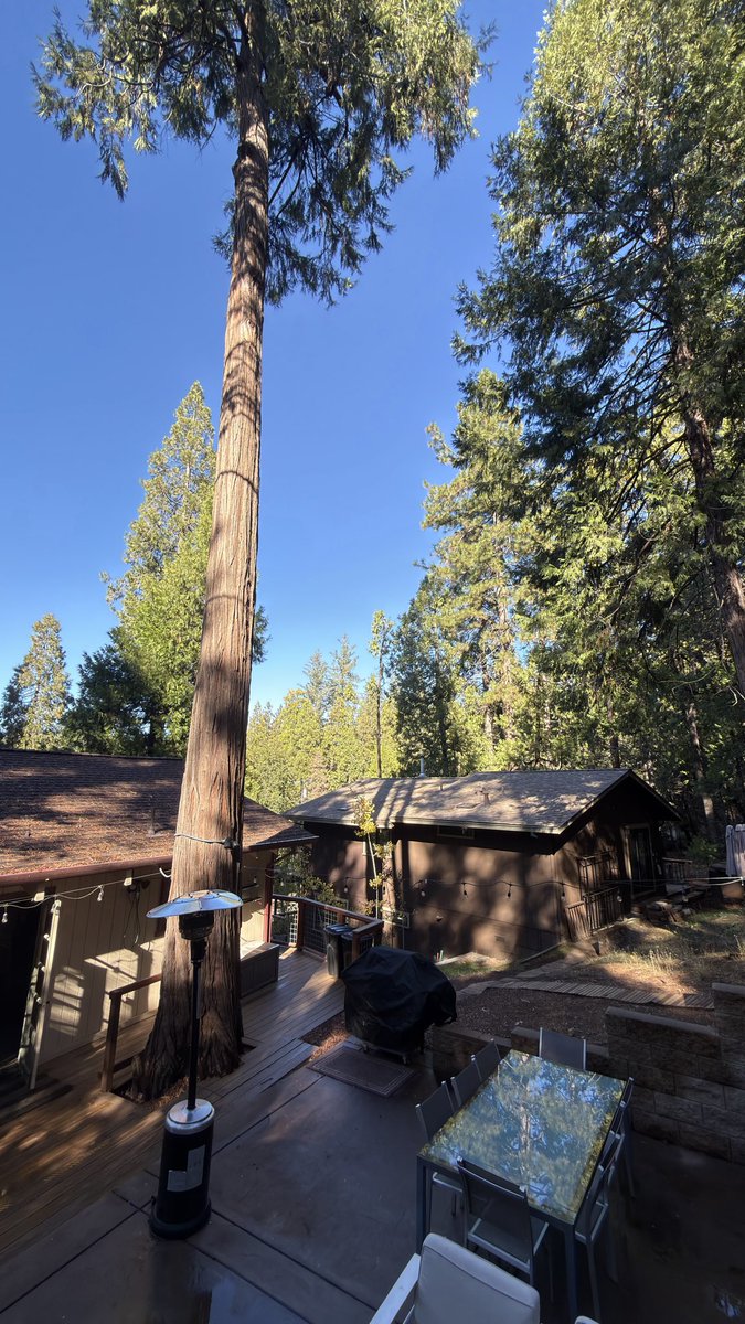 _iagomaciel's tweet image. What’s stopping from coding like this? 🫡

@_TheResidency mid-cohort retreat to yosemite