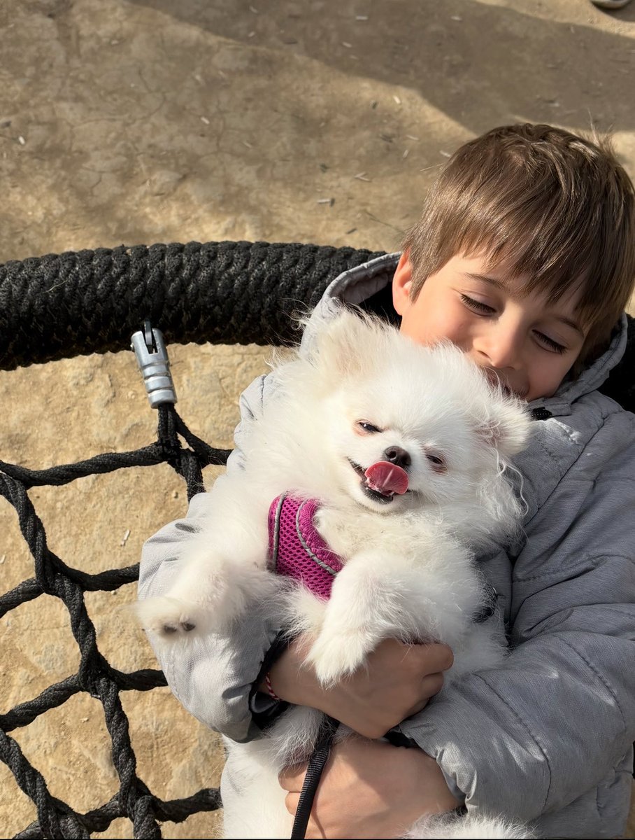 Diyor ya şair;

Çocuktan tebessümü, 
Kediden huzuru,
Köpekten dostluğu öğrendim..
İnsanı anlamak haddimi aştı! 
Tam o noktadayım.