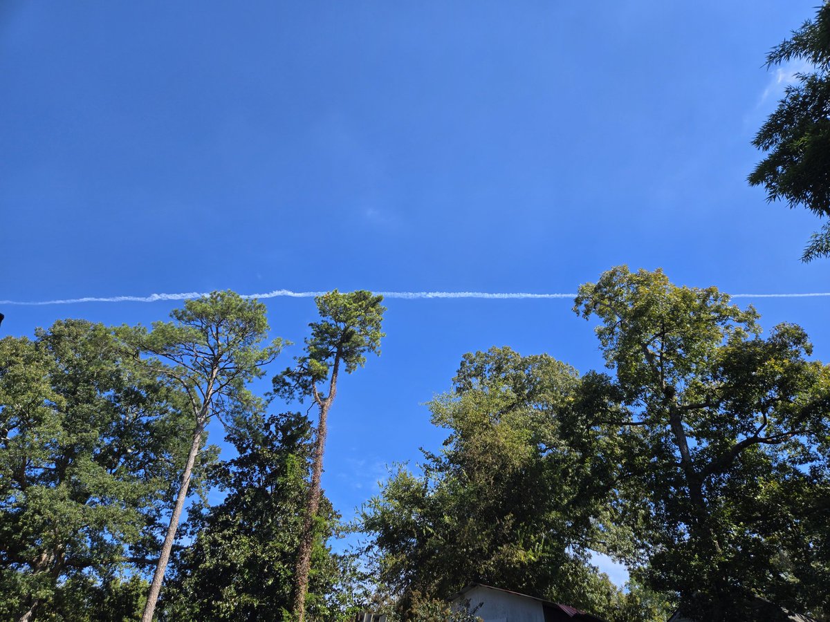 jayhh36111's tweet photo. @RepMTG Today Atlanta. There were several. https://t.co/Y7O8Gtun9S
