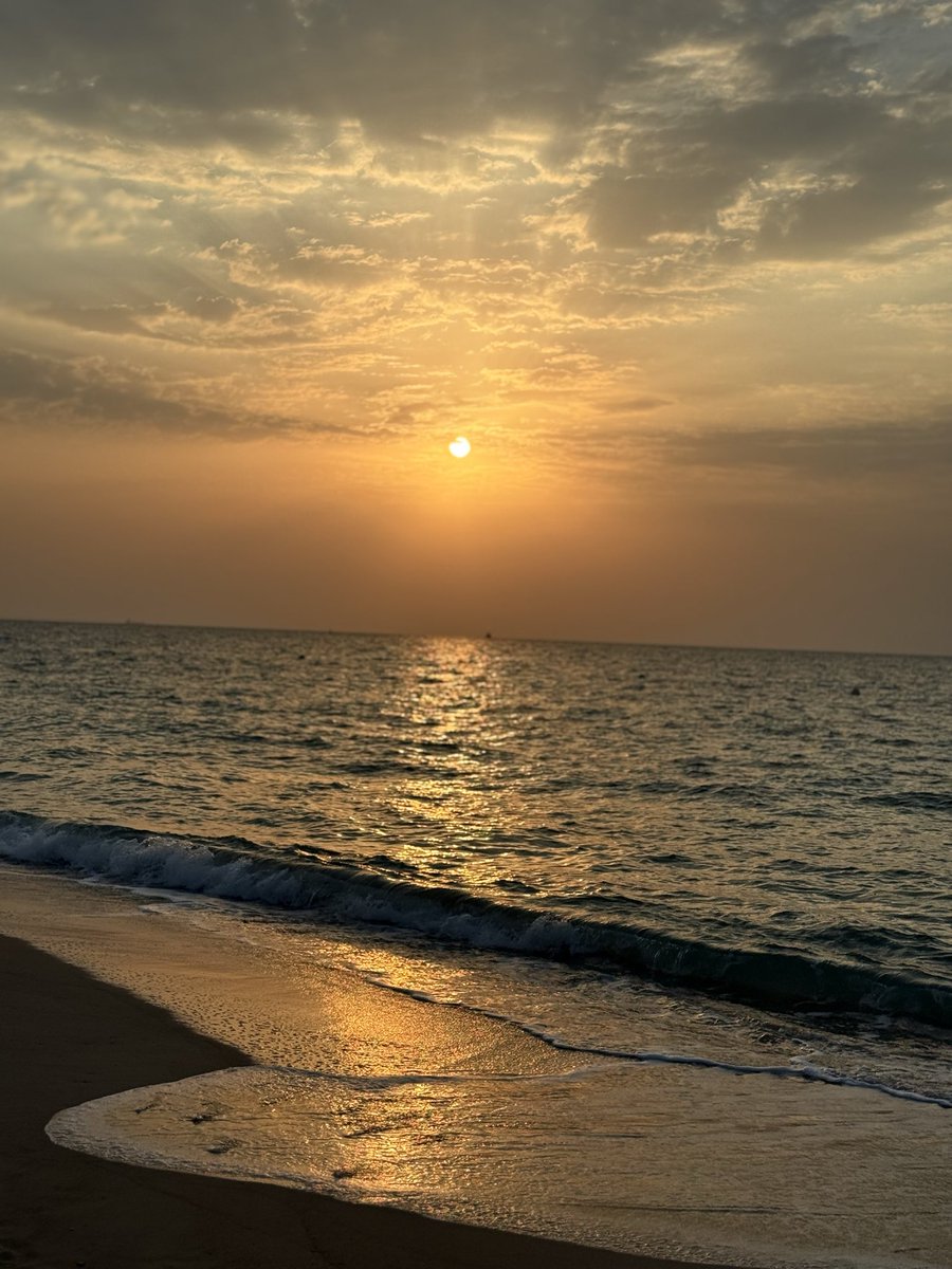 د.عائشة ديما الدخيل🔗 tweet media