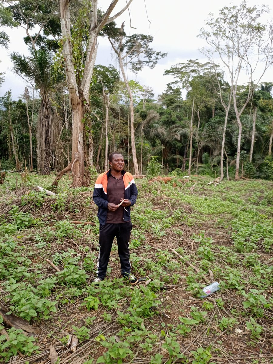 The idea that we can destroy our environment for profit and call it "development" is a dangerous delusion. True progress means building a future where economic prosperity and environmental stewardship are intertwined. It's time to shift our mindset and invest in sustainable