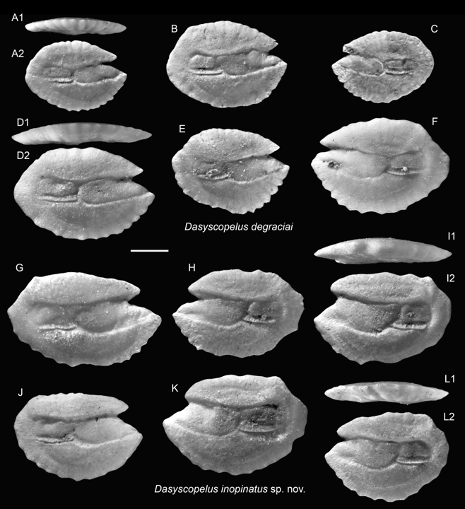 林千翔 (Chien-Hsiang Lin) tweet media