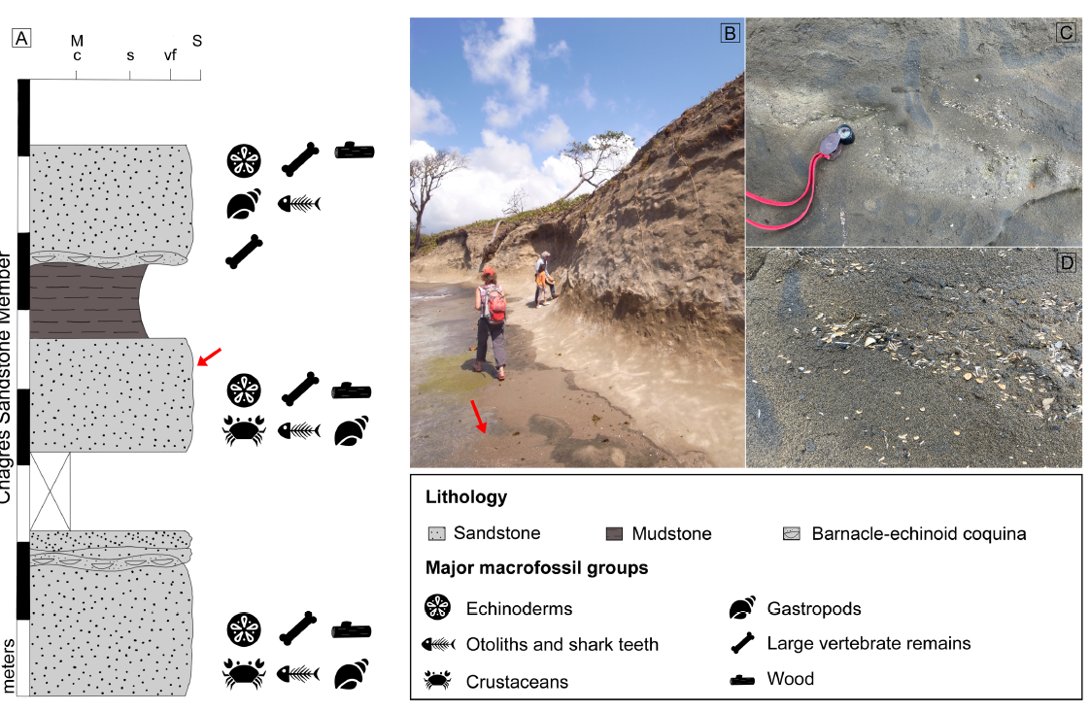 林千翔 (Chien-Hsiang Lin) tweet media