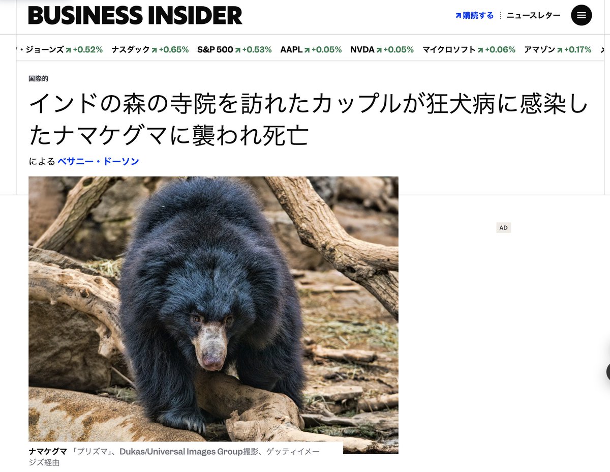 BikkuriSeitai's tweet image. 世界一狂犬病の被害が多いと言われるインドでは、狂犬病のクマに襲われたカップルが死亡しています
businessinsider.com/india-couple-m…
