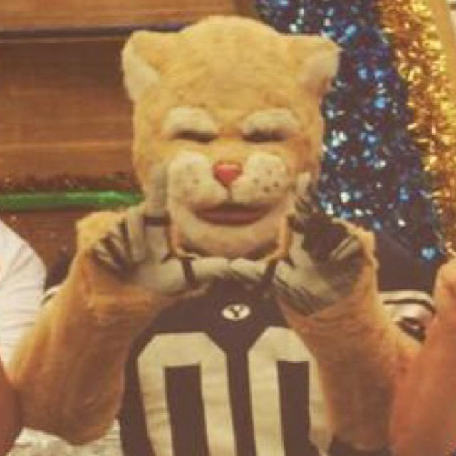 UUtah's tweet image. #FlashTheUFriday from one of our favorite felines! Thanks for reppin’ the U, Cosmo! #GoUtes