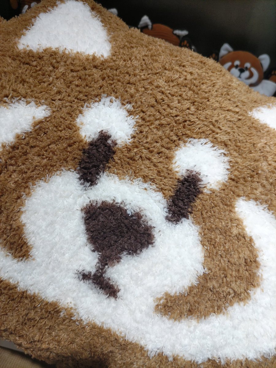 kareisan3's tweet photo. #イカク
かわいすぎる！！ https://t.co/dRSTVXVGmz
