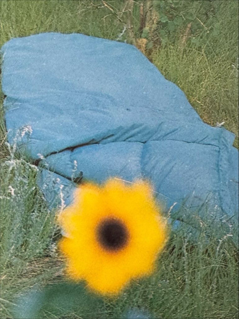 Outdoor_Archive's tweet photo. https://t.co/QOXlQXSsiP