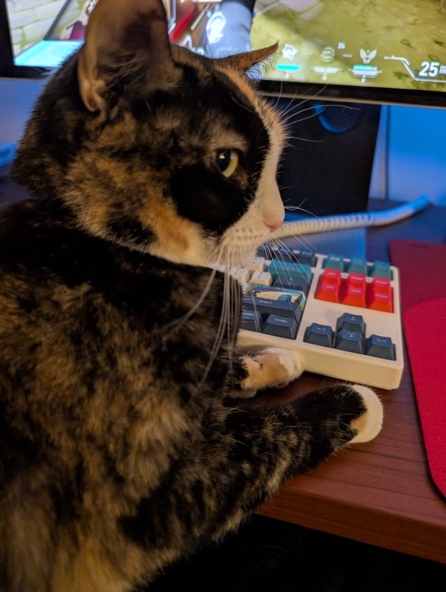 her ass is NOT ranking up