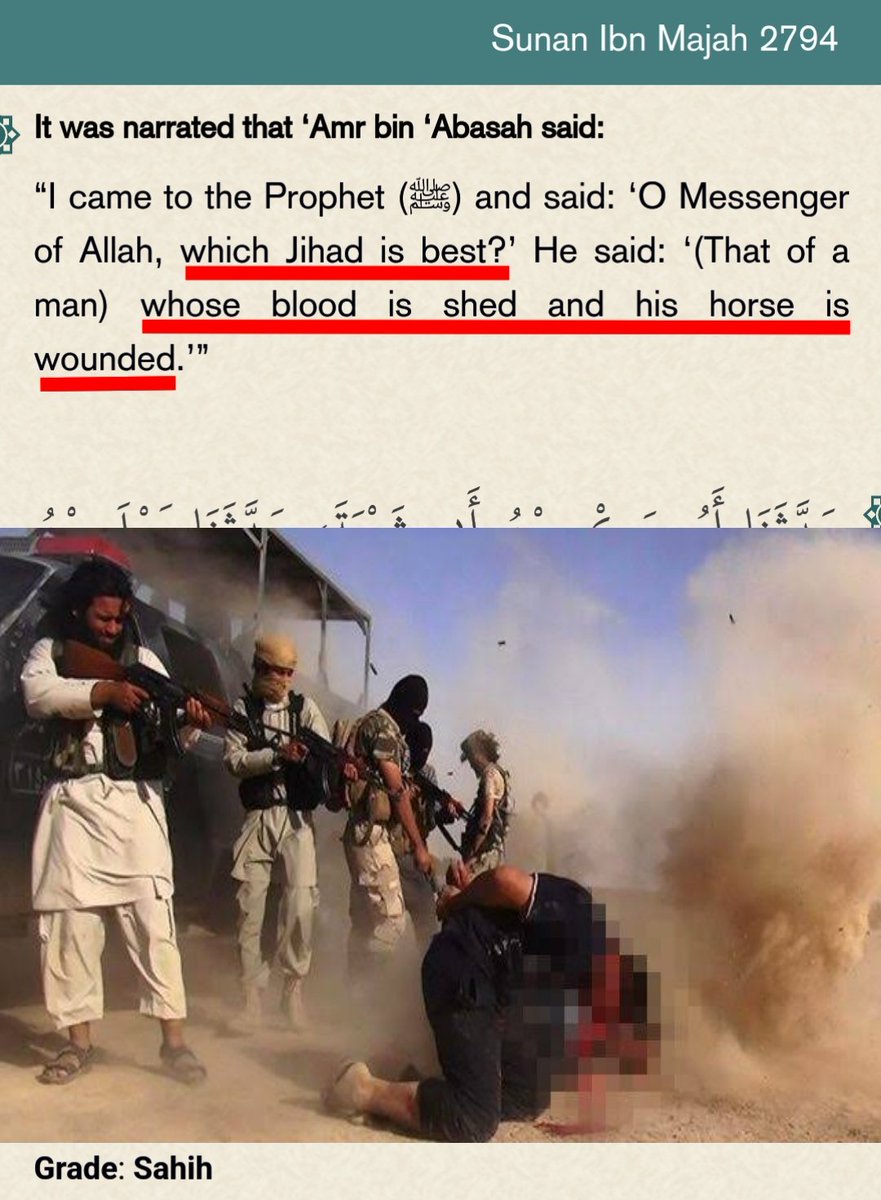 Exmuslim24's tweet photo. @HalalNation_ Meanwhile the peace ☠️ https://t.co/9YSx1QLTOT