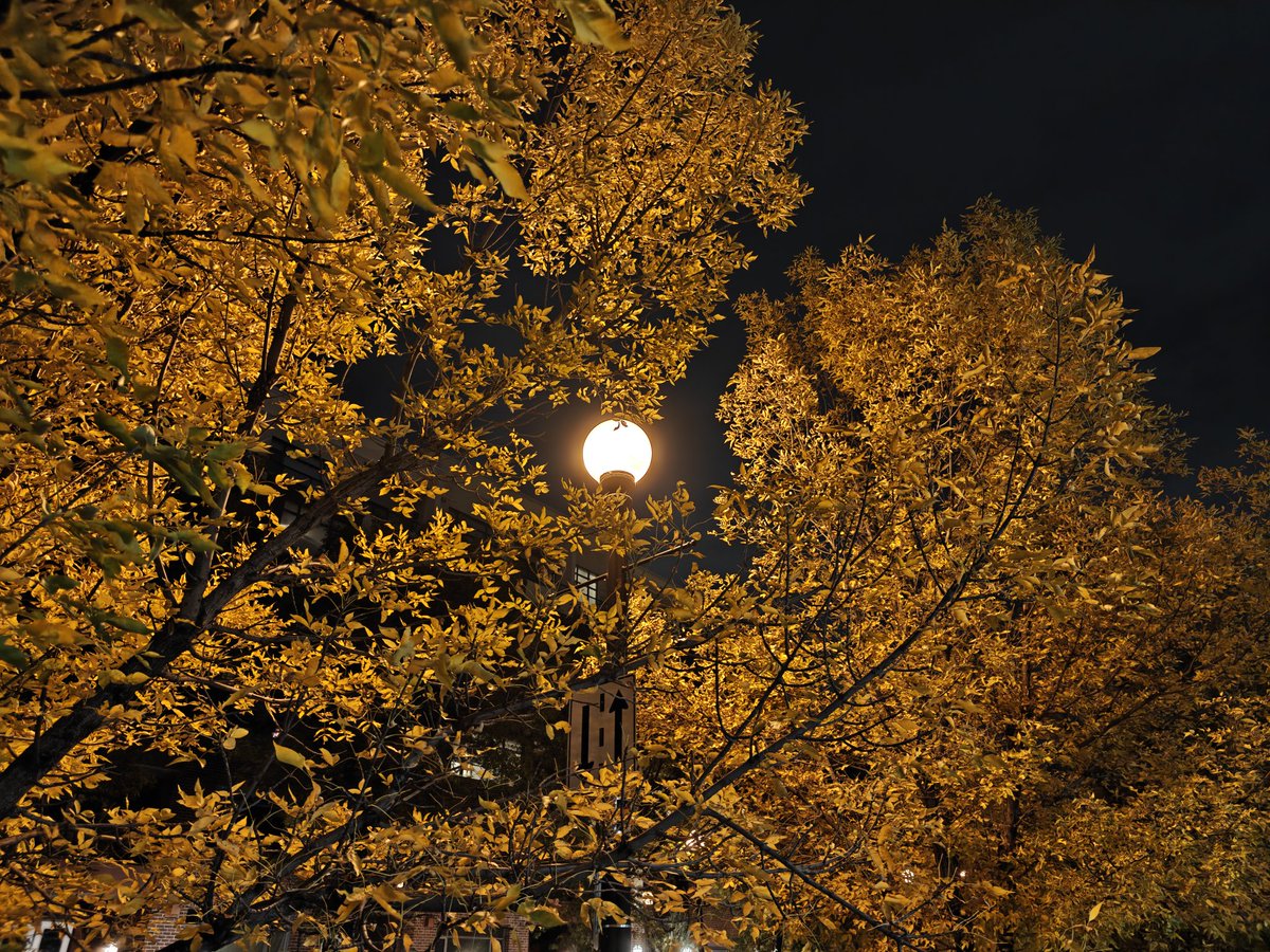 Beautiful #Bridgeland #Fall